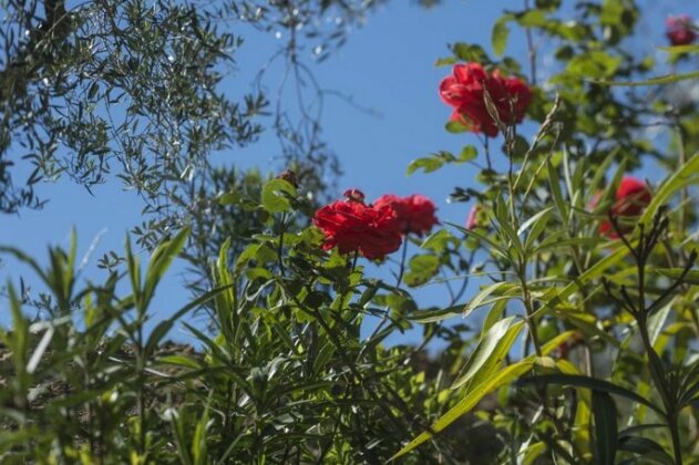 Valletta Greve in Chianti - Photo5