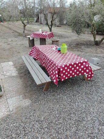 Fattoria San Vincenzo - Photo2