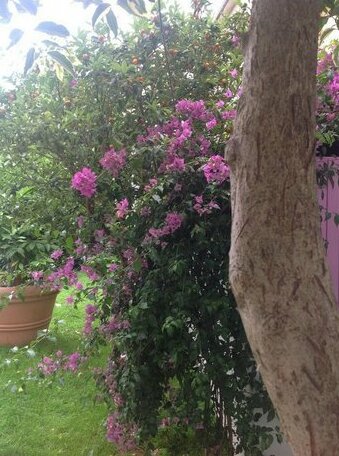 A Casa di LoLu - Photo5