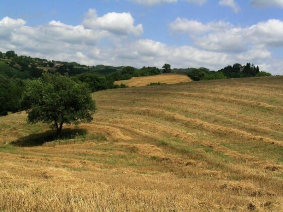 Azienda Agraria Montelujano - Photo3