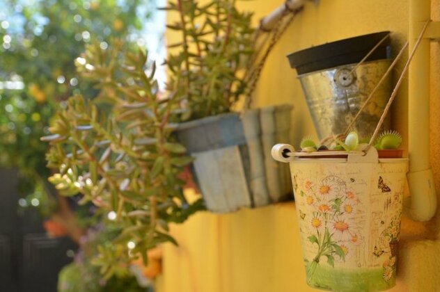 Homestay - Cozy B & B with large terrace - Photo3