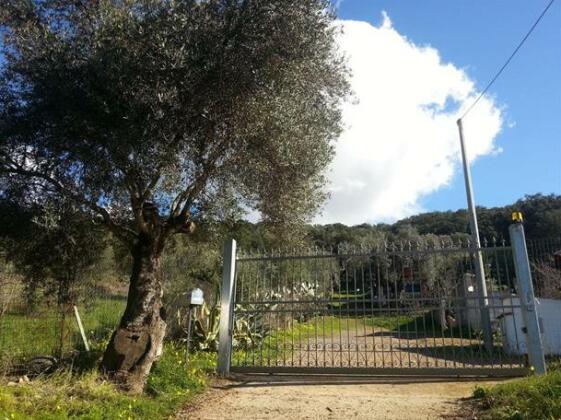 Circondato Dalla Natura - Photo3