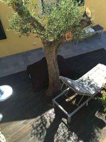 Maison d'Olive - Photo2