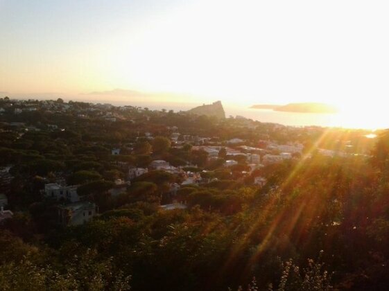 Villa Cristoforo Ischia - Photo3