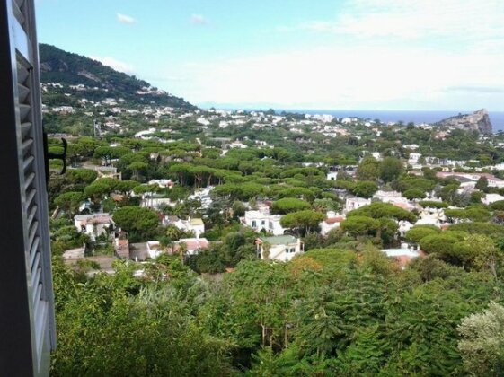 Villa Cristoforo Ischia - Photo4
