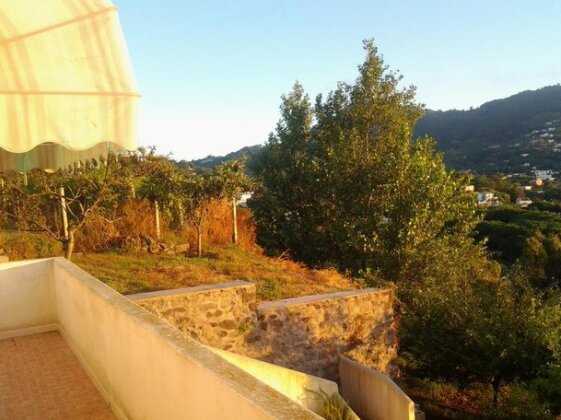 Villa Cristoforo Ischia - Photo5