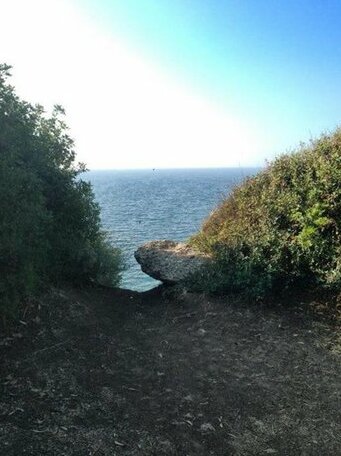 Camping Dell'Uva - Photo5