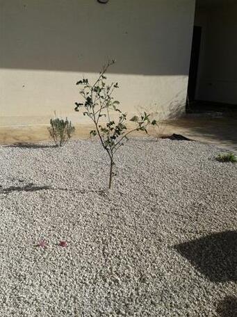 Casa del Mirto Ispica - Photo5