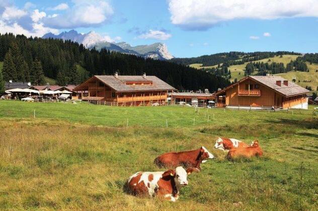 Tirler - Dolomites Living Hotel - Photo4