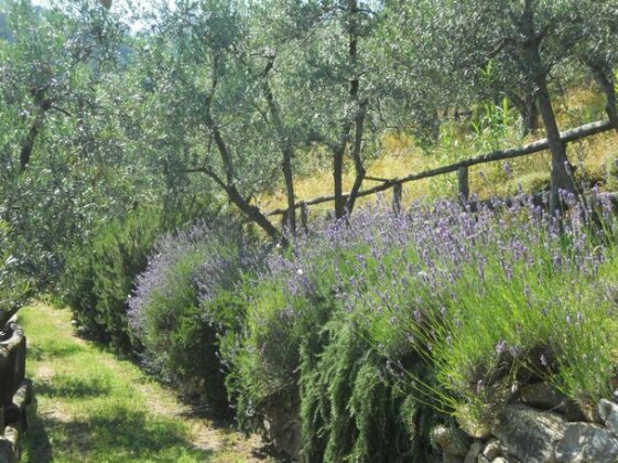 Agriturismo Biancospino Lamporecchio - Photo2