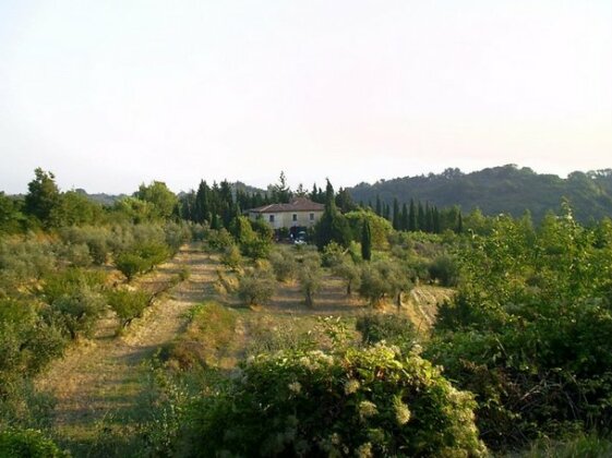 Homestay - Podere il Goldfinch - Photo5