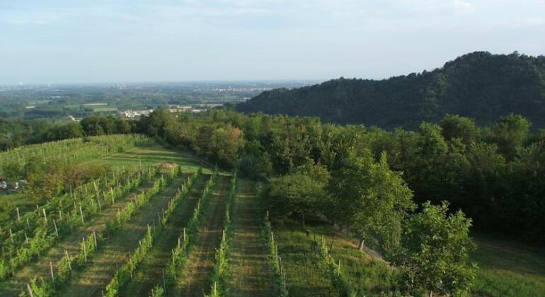 Agriturismo Cascina Colombaro