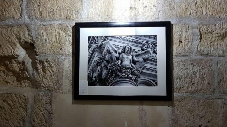 BLANCO&NERO in Vico degli Albanesi - Photo3