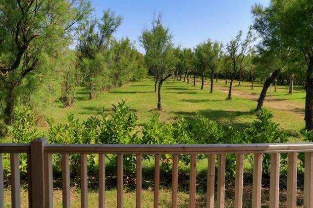 Happy Camp Mobile Homes in Torre Rinalda Camping Village - Photo4