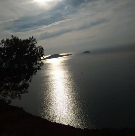 Da Sonia B&B - Photo2