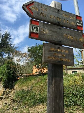 Affittacamere Angela - Photo2