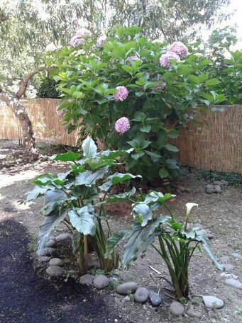Appartamento Il Leudo - Photo2