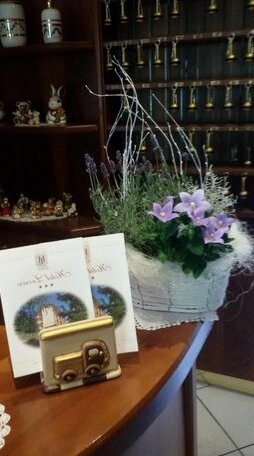 Hotel Levico - Photo3