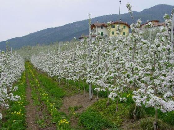 Agritur Monte Pin - Photo4