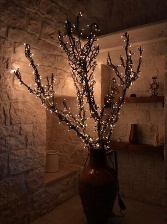 L'anima della Pietra - Trullo Sovrano - Photo2