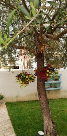 Casa Azzurra Lotzorai - Photo2