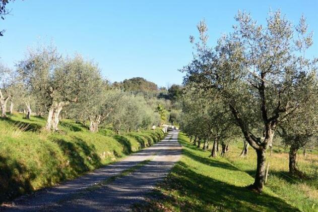 Azienda Agricola Fabbrica Di San Martino - Photo5