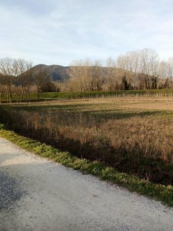 Zimmer Il Castello - Photo5