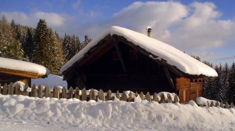 Reh's Wiesen Hutte