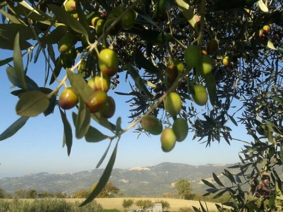 Colle Bianco - Photo4