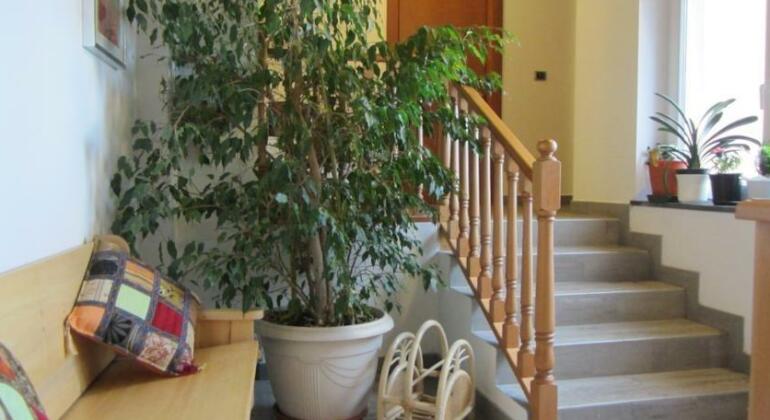 Albergo La Veranda - Photo5