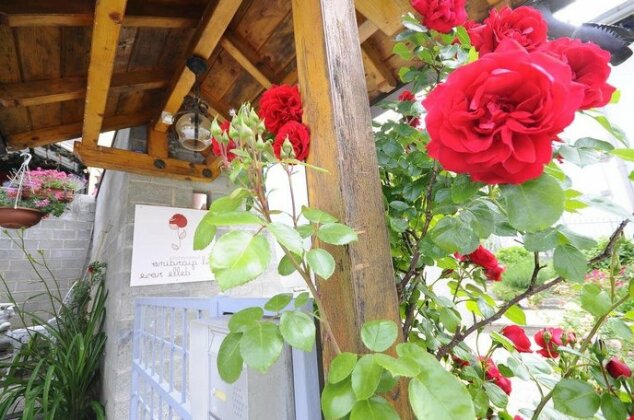 Il Giardino delle Rose - Photo2