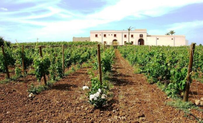 Agriturismo Baglio Donnafranca Wine Resort - Photo2