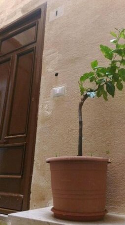 Al Balconcino - Photo2