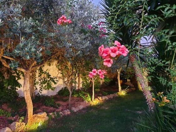 Anastasia Villas-B&B - Photo5