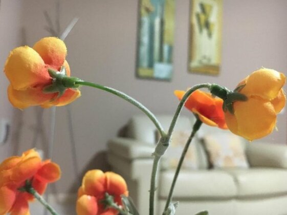 Appartamento Canottieri - Photo4