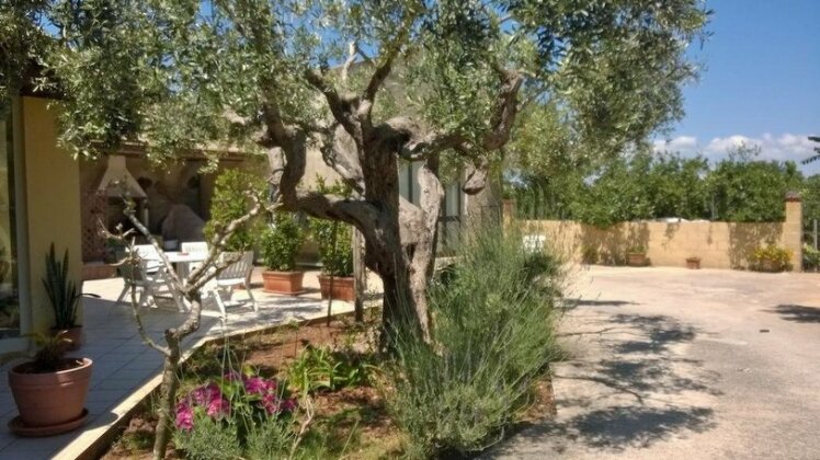 Casa degli Agrumi - Photo4