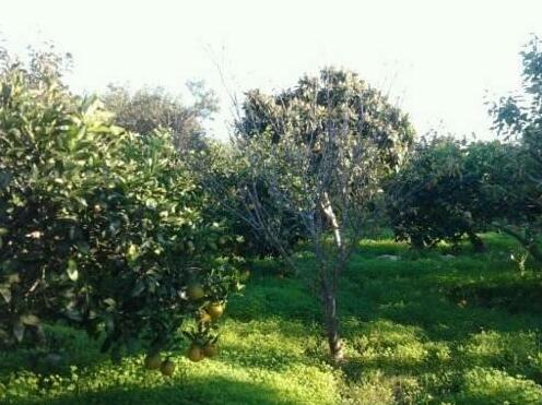 Il Geco Casa Vacanza - Photo3