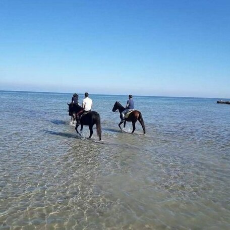Kite House Marsala Stagnone - Photo3
