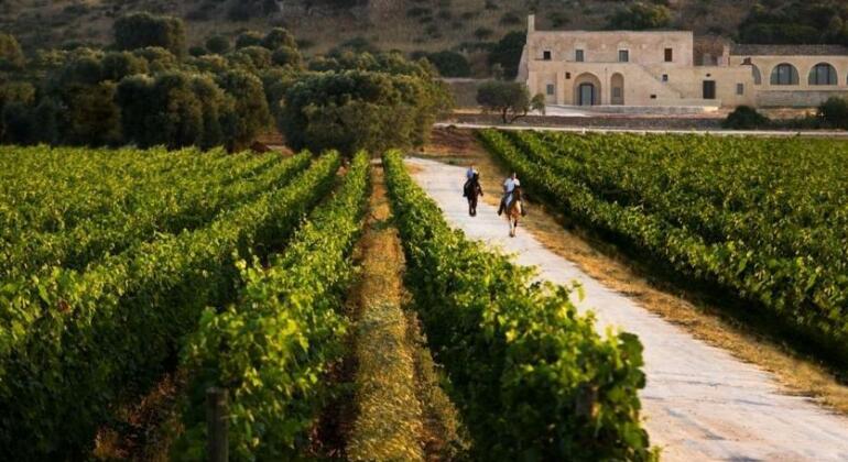 Masseria Le Fabriche - Photo4