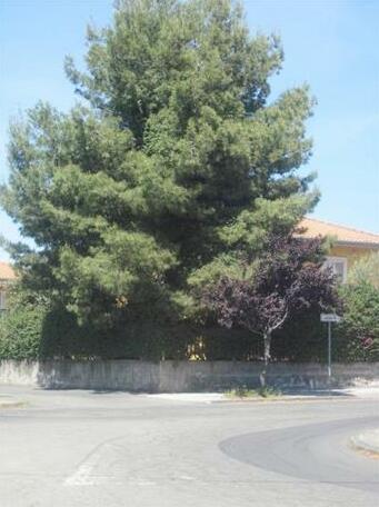 Appartamento Al Crocevia - Photo5