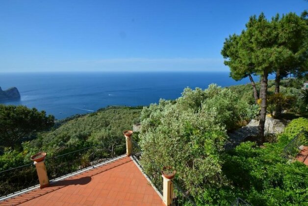 Neranya - Photo5