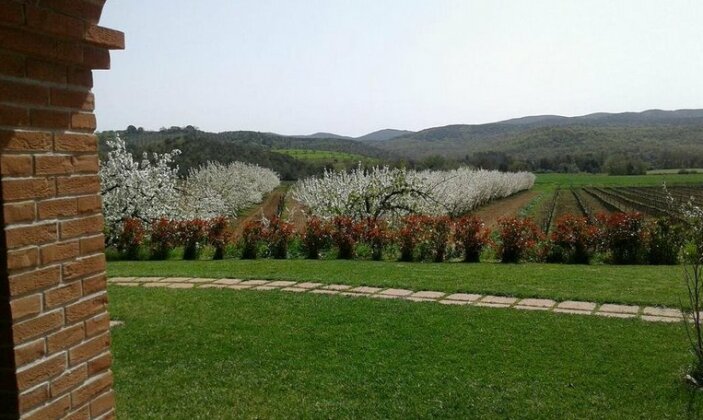 Il Giardino dei Ciliegi - Photo4