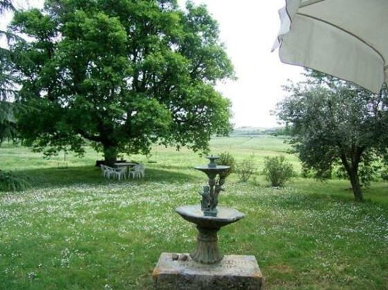 Podere Aronna Nuova - Photo5