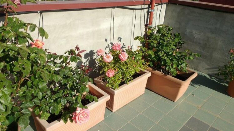 2 Cuori Ed Un B&B - Photo5