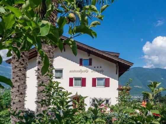Hotel Pension Grafenstein - Photo5