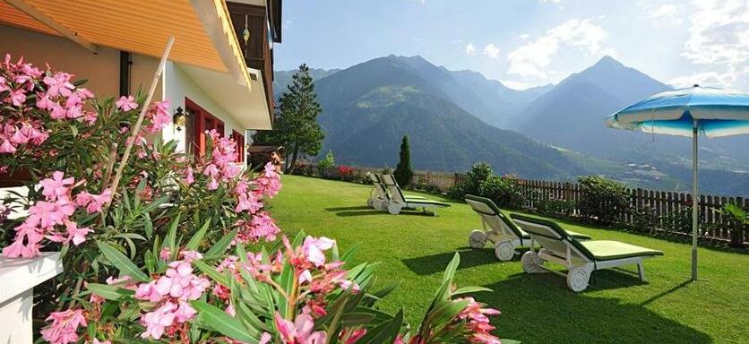 Pension Grafenau - Photo4