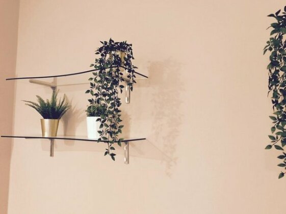 Pluto House - Photo4
