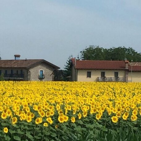 Agriturismo Borgo Chiasalp - Photo3