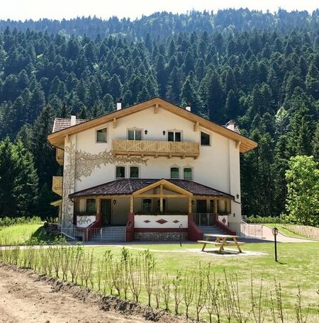 Genzianella Molveno-Andalo - Photo2