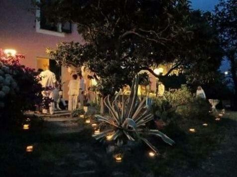 Villa Venino - Photo2